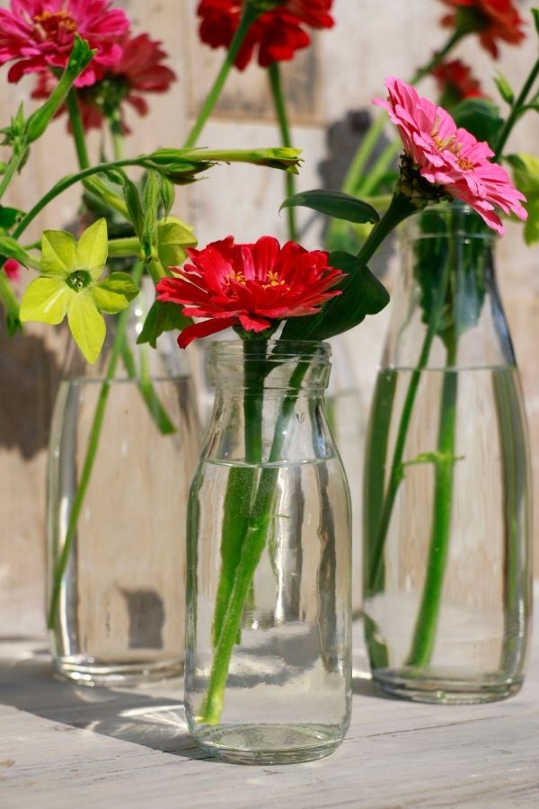 Glazen Melkfles 250ml 60x140mm - 24 st