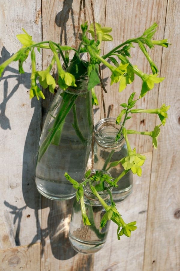 Glazen Melkfles 250ml 60x140mm - 24 st