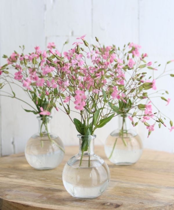 Glazen Buikvaas 80x100mm - 24 st