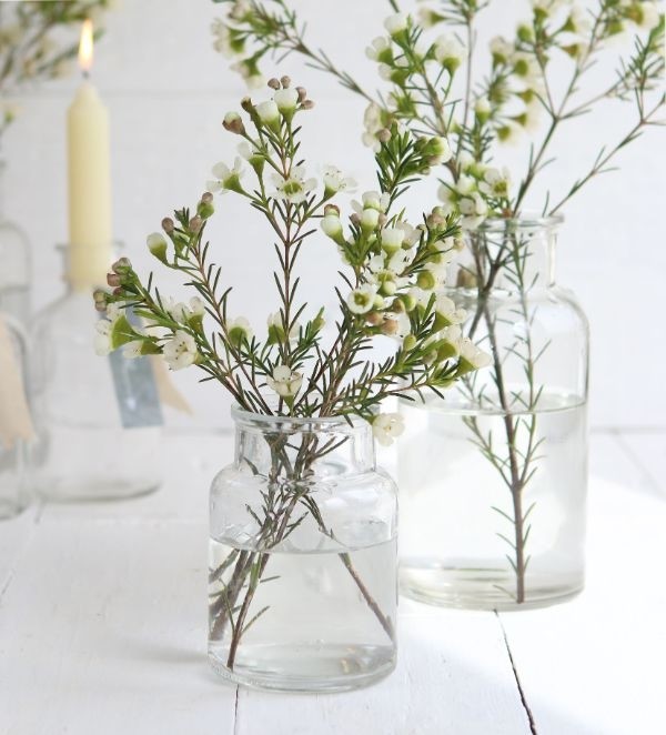 Glazen Medicijnenflesje 70x100mm - 24 st