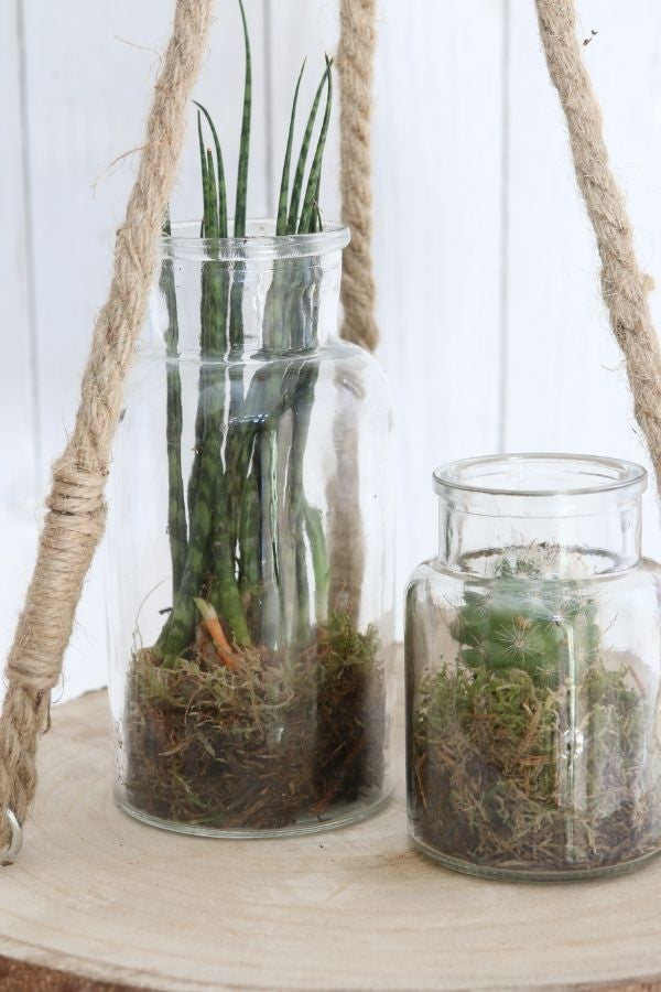 Glazen Medicijnflesje 160mm hoog Ø 80mm - 12 st