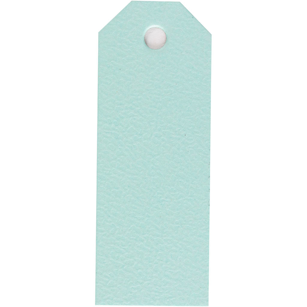 Manila Labels Light Blue 30x80mm