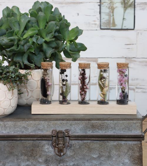 Glazen buisjes Ø3cm 5 buisjes op houten plankje - 6 st