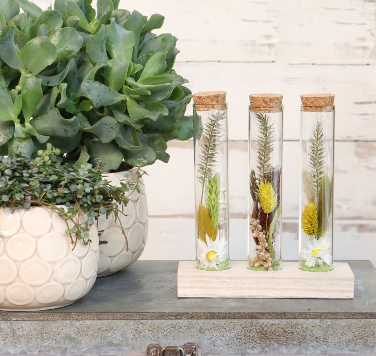 3 Glazen buisjes op houten plankje Ø3cm, H: 15cm - 12 st