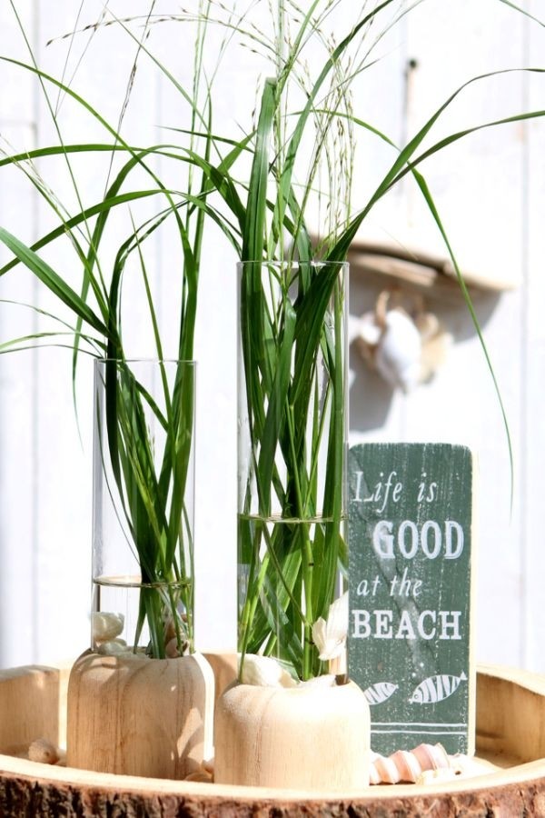 Glazen Reageerbuis met houten basis 50x180mm - 1 st