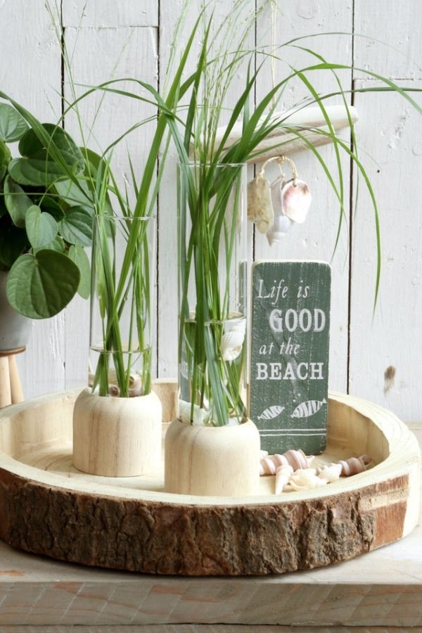 Glazen Reageerbuis met houten basis 50x180mm - 1 st