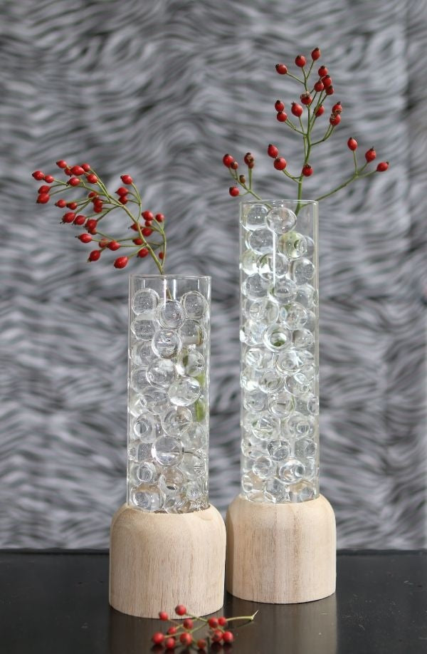 Glazen Reageerbuis met houten basis 50x280mm - 1 st