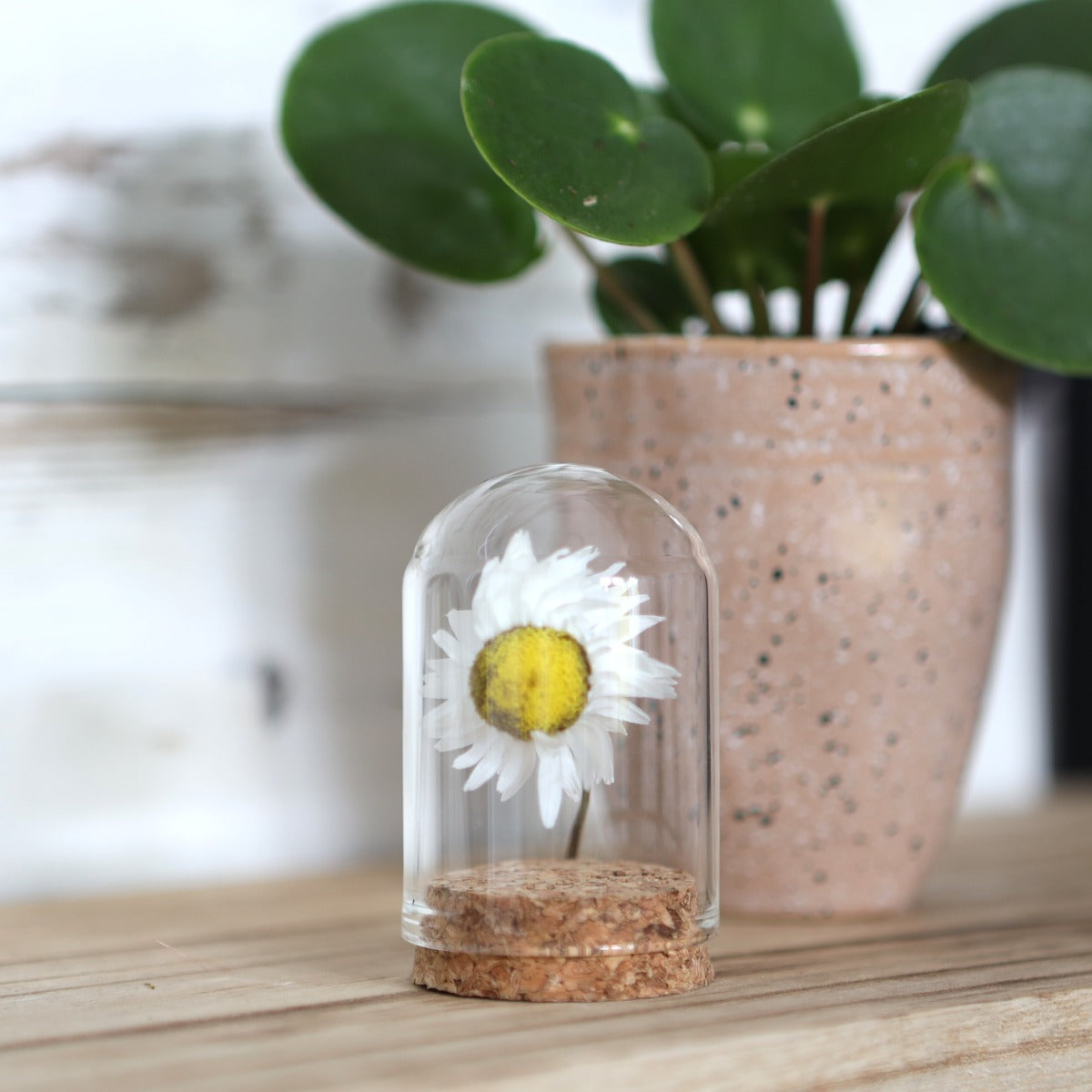 Glazen mini stolp Ø40 mm H.60 mm met kurk - 6 st