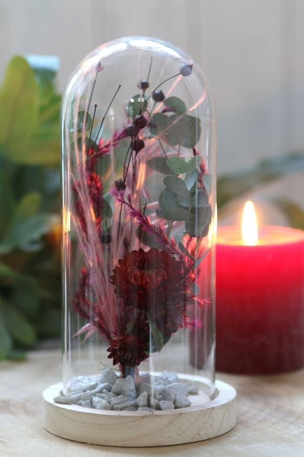 Glazen Stolp met houten voet Ø100 mm H.200 mm - 1 st.