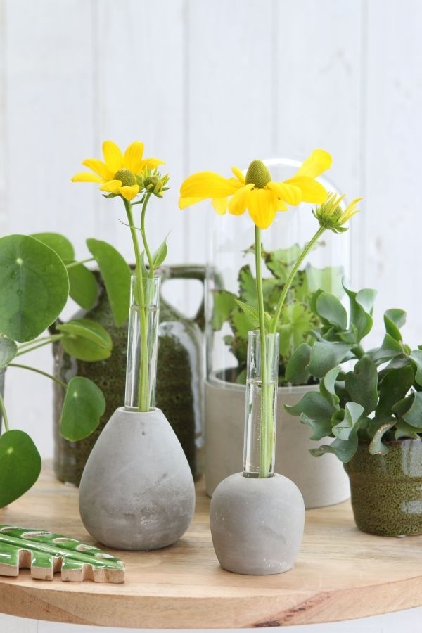 Cemente Basis met Cilindervaas 60x150mm - 1 st