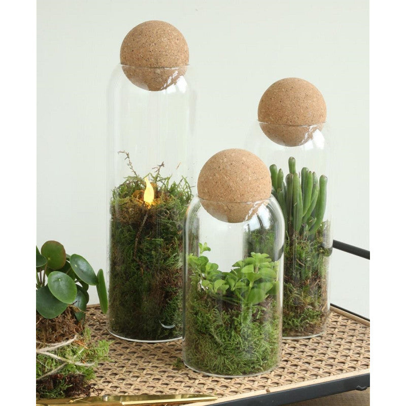 Glazen terrarium Sienna Ø8,5 h.24 cm - 6 stuks
