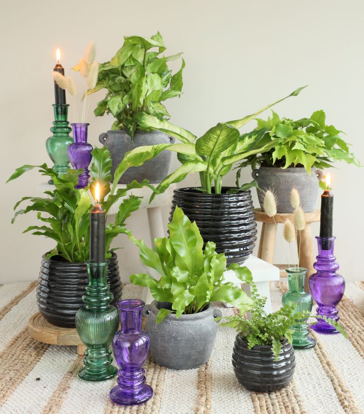 Vaas Venetië Groen H: 155 x Ø57 mm - 12 stuks