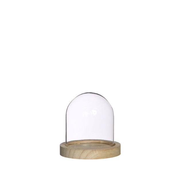 Glass Dome with Wooden Base 100x100mm