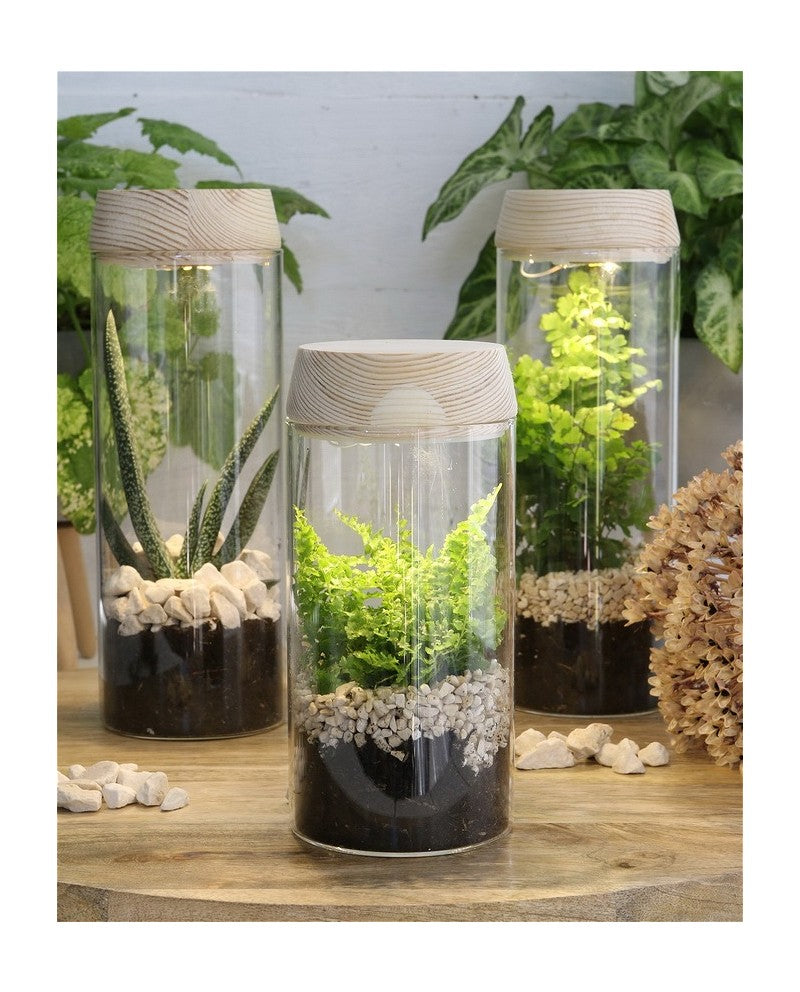 Reageerbuisje Ø80 h: 180 mm met licht + zonnepaneel kurk - 1 stuk