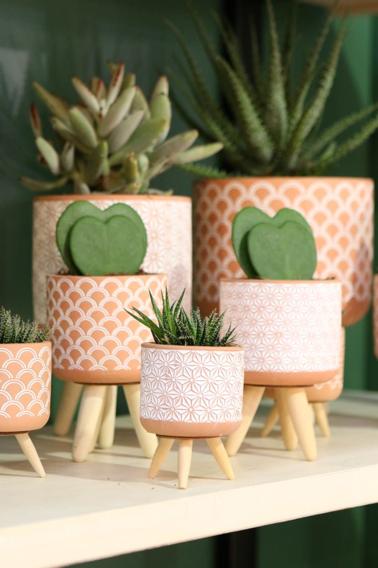 Plantenpot Terra cement met houten poten 21,5cm hoog - 6 st