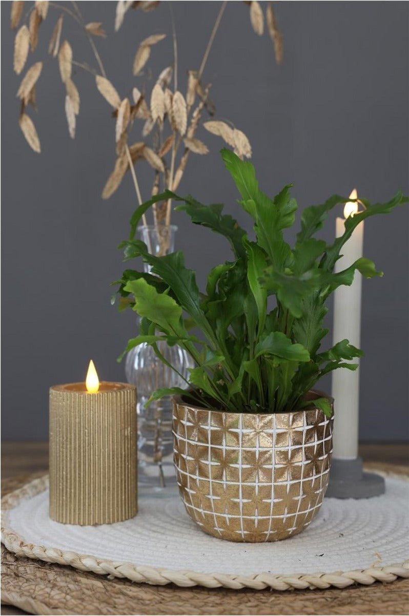 Hanoi pot Ø75 x h:64 mm Goud - 6 stuks