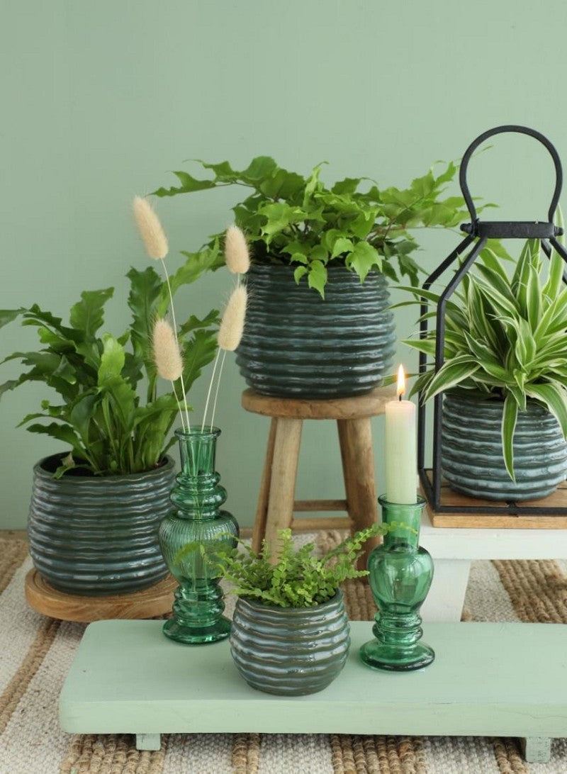 Pot Donker Groen Rise Ø65 x h: 80 mm - 12 stuks