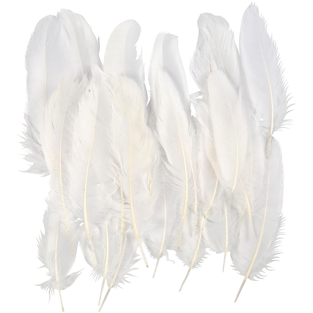 Feathers, approx. 15 cm, white, 70pcs