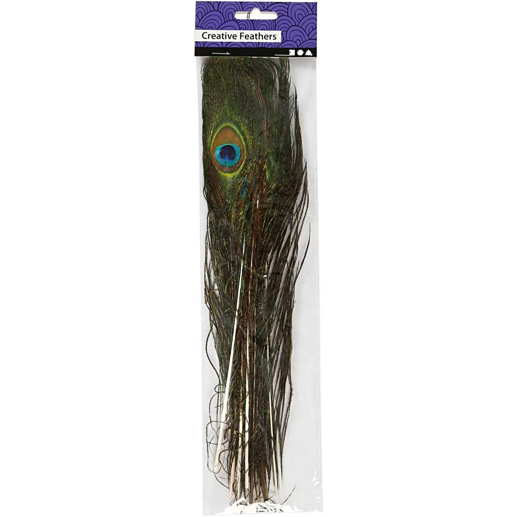 Pauwenveren, L: 25-30 cm - 10 st