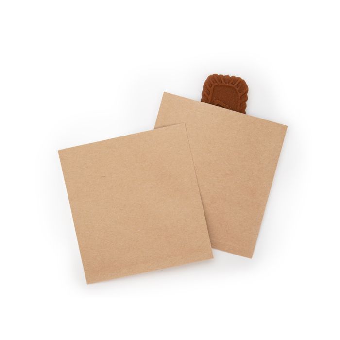 Vlakke Zakken Kraft/Plastic - kindveilig - 89x95mm - 100 st