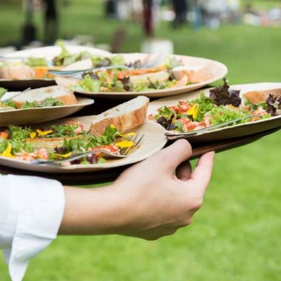 Bord Palmware® Ø 25 cm, rond - 200 stuks