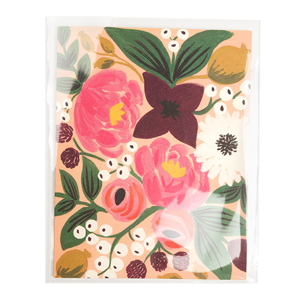 Milieuvriendelijke Zakjes 115x150mm - 100 st