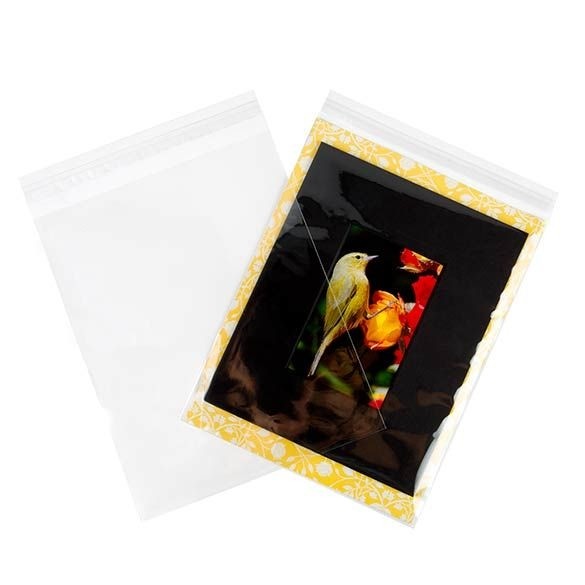 Milieuvriendelijke Zakjes Bioplastic 227x286mm - 100 st