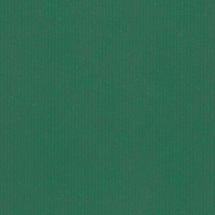 Brown kraft wrapping paper on a roll Uni Green 50cm wide (1 pc.) [FP