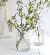 Glazen Medicijnenflesje 70x100mm - 24 st