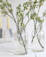 Glazen Medicijnflesje 160mm hoog Ø 80mm - 12 st