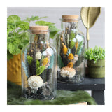 Glazen Medicijnflesje 200mm hoog Ø 100mm - 6 st