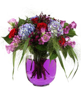 Kleurstof voor water Paars - 1 fles