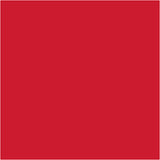 Tissuepapier Rood 50x70cm, 14 gr - 25 vel