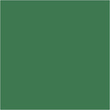 Tissuepapier Groen 50x70cm, 14 gr - 25 vel