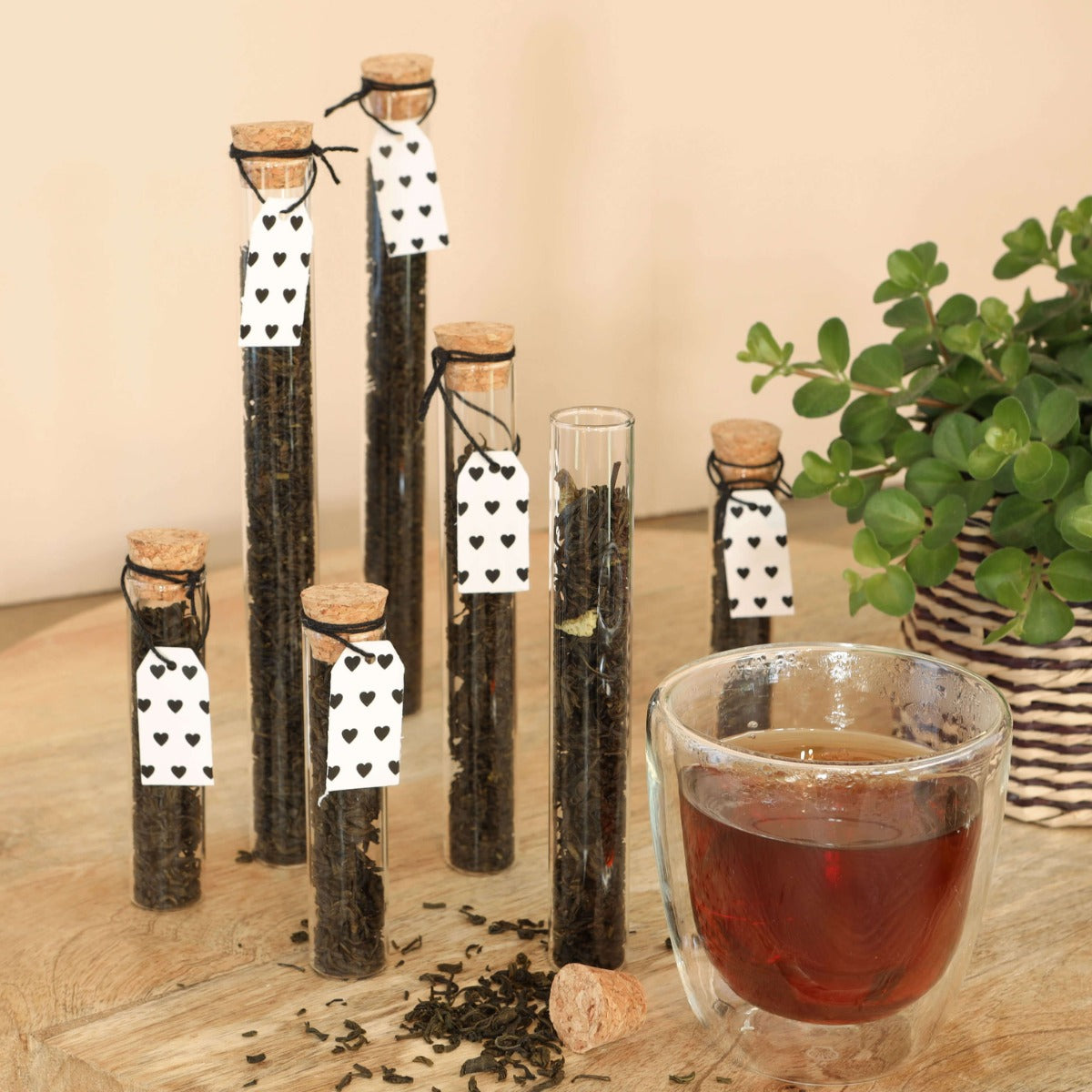 Glazen buis Ø2cm en 19cm hoog - 12 st