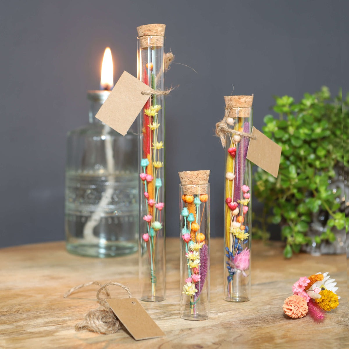 Glazen buis Ø2cm en 19cm hoog - 12 st