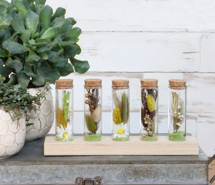 Glazen buisjes Ø3cm 5 buisjes op houten plankje - 6 st