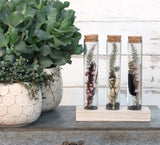 3 Glazen buisjes op houten plankje Ø3cm, H: 15cm - 12 st