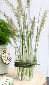 Glazen reageerbuis met ring 20x125 mm - 12 st