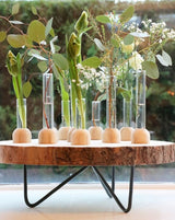 Glazen Reageerbuis met houten basis 20x100mm - 1 st