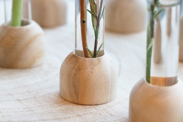 Glazen Reageerbuis met houten basis 20x150mm - 1 st