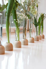 Glazen Reageerbuis met houten basis 20x150mm - 1 st