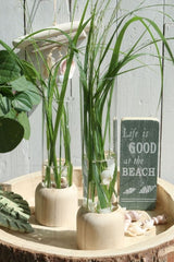 Glazen Reageerbuis met houten basis 50x180mm - 1 st