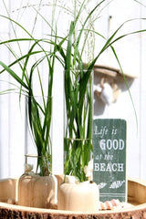 Glazen Reageerbuis met houten basis 50x180mm - 1 st