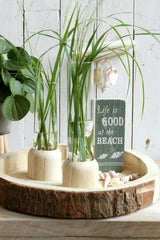 Glazen Reageerbuis met houten basis 50x180mm - 1 st