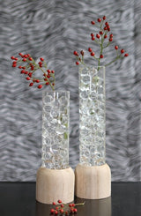 Glazen Reageerbuis met houten basis 50x280mm - 1 st