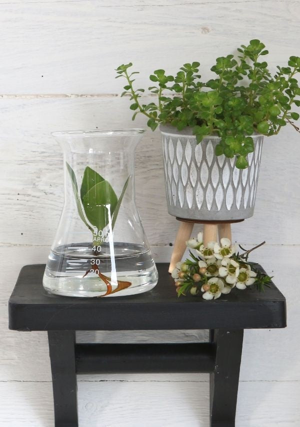 Glazen Erlenmeyer Laboratorium 80x110mm - 1 st