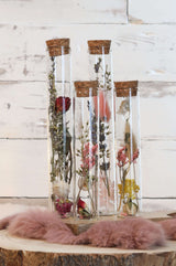Glazen buis met 2 diverse droogbloemen Ø3cm, H: 20cm - 12 st