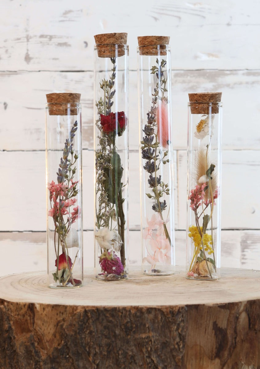 Glazen buis met 2 diverse droogbloemen Ø3cm, H: 20cm - 12 st