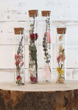 Glazen buis met 2 diverse droogbloemen Ø3cm, H: 20cm - 12 st